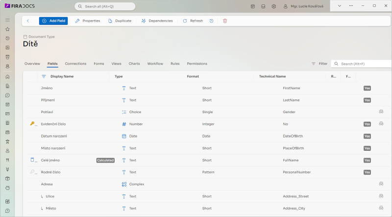 Fira docs screenshot of list of fields of custom document type